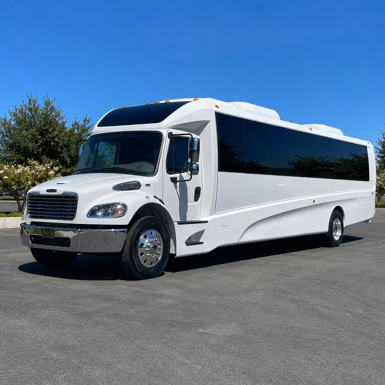 visalia 28 passenger minibus rental